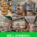 캐치벅스 이미지