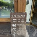 카페나루 - 91899 | 부산 강서구 명지 대형 한옥 카페, 다온나루 방문후기
