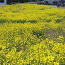 중문리조트 이미지