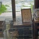 카페 까망토끼 이미지