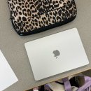 판타스틱큐브도서관 | 🇺🇸 PhD 3학기 - W13: 학회 발표 준비 + 발표 끝! 살짝의 TMI