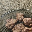 해피포레스트