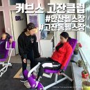 커브스고잔클럽 네이버블로그
