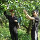 대훈농장 이미지