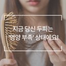 웰킨 청량리점