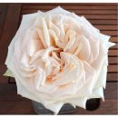 도호농장 이미지