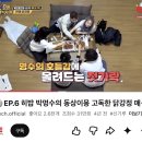 양양송이 - 양양군 남문3길 14 | 양양 대표먹거리 송이닭강정 매운맛 포장 후기