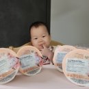 하이오동 | 야마토야 스쿠스쿠GL 조립 오래 쓰는 가성비 하이체어 환승