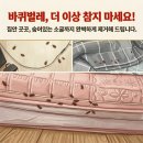 [캐치벅] 벽지 배설물과 매트리스 틈새까지 점령한 역대급 바퀴벌레 방역 후기!