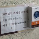 미아로마 이미지