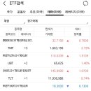 미국 장기 국채 ETF (레버리지포함) 이미지