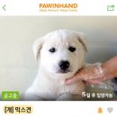 종혁농장 네이버블로그