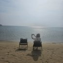 지리해수욕장 | 🏖 강원도 고성 화진포 해수욕장 당일치기 여행 후기