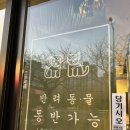삼아카센타 | 부산 온천천 카페거리 애견동반 식당 풍미랑 동래막창 맛집