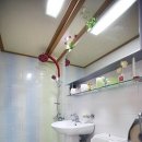 안평초등학교 화장실 이미지