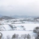 한국찹쌀순대 이미지