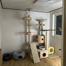 이타워2 | 다묘 캣타워_원목 캣타워 추천 "BPF 풀옵션 캣타워2" 내돈내산 설치후기!👍