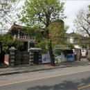 사파동120 이미지