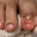 레푸스 판교점 이미지