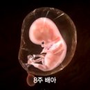 메디아이여성병원 이미지