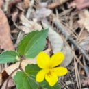 큰고개로 이미지