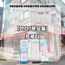 본오동카페 과일에반하다프루타 상록본점 복숭아빙수 후기