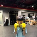 올라운더 복싱 이미지