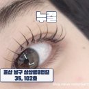대성종합마트 | 울산 신정동 뷰티 리뷰 | LED펌포인트 속눈썹 ‘누결' 후기 🪮🧴