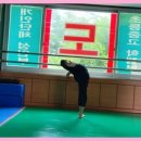 태권도 골든로드 이미지