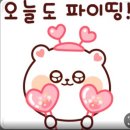 서해방제드론