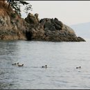 당산할머니경로당 이미지