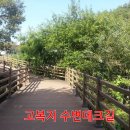 오봉산 맨발 등산로 이미지