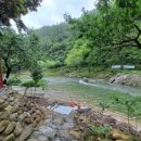 김삿갓 계곡 캠핑장 이미지