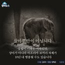 상아