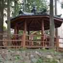 구덕산책로 숲길 이미지