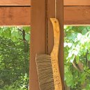 여름 가족 나들이 추천! 여주 황학산수목원 숲속 산책 후기 🌿