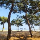 연포 해변앞 펜션투 | 💙 태안스파펜션 너와나펜션, 연포해수욕장 근처 숙소