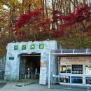 꿈벌사슴목장 이미지