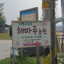 해마루농원 | [식충식물 농장] 해마루 농원 방문 후기