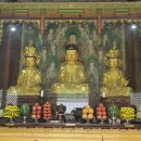 상주 남장사 목조아미타여래삼존좌상 | 상주 남장사 [1]