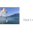 세복농장 이미지