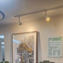 척추자세교정 걷기 테라피 | 서초허리디스크 루나척추테라피 자세교정 관리 후기