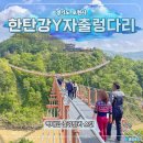 서03-410 | 포천 한탄강 Y자출렁다리, 가든페스타 후기