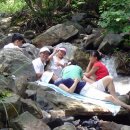 두테리어 이미지