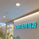 [과천] 고릴라 소아치과 영유아 구강검진 및 불소도포 후기