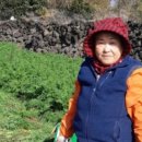 다진농장 이미지