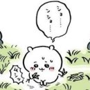 규하나 이미지