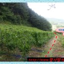 강림면우체국 이미지