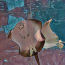 코엑스아쿠아리움 이미지