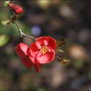 무료음악 연속듣기 5500곡 - 모든 장르 모든 음악 이미지